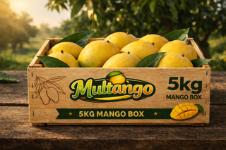 Anwar Ratol Mango Box