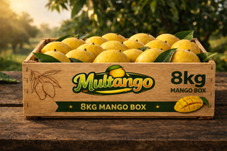 Chaunsa Mango Box